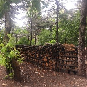 Meet your Posher, Mohammad